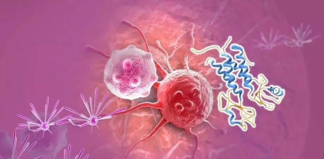 【盘点】高选择性mTOR抑制剂的研究进程_尊龙凯时生物医药
