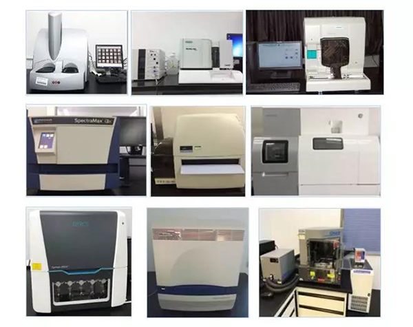尊龙凯时生物技术药物分析部门拥有SpectraMaxM4/M5/i3x, MSD, Luminex, Biacore 8K, Envision, Gyrolab，ABI7500 qPCR等全方位多功能的技术平台，利用LIMS系统实施全面的实验室信息化管理，提供全面符合FDA/CFDA/OECD GLP规范要求的生物技术药物分析服务。