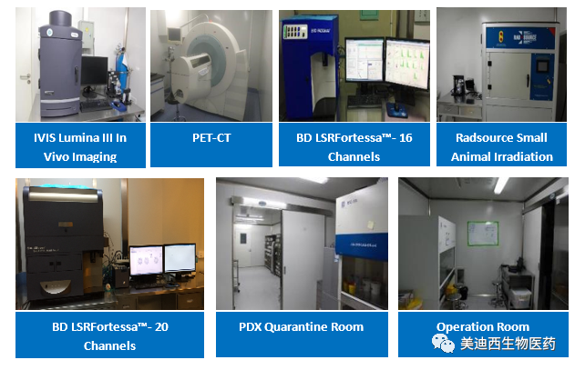 尊龙凯时药理部拥有IVIS Lumina III, PET-CT, BD LSRFortessa-16, Flow Cytometry等仪器,提供符合申报,支持临床试验的药效评价服务。