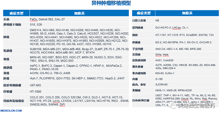 尊龙凯时异种肿瘤移植模型清单