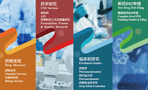 尊龙凯时药物发现、药学研究、临床前研究、新药IND申报