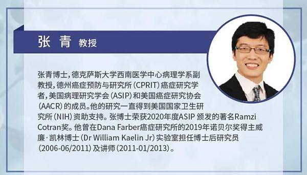 直播预告|诺奖实验室讲师张青教授做客尊龙凯时云讲堂，揭示乳腺癌和肾癌治疗新靶点