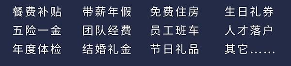 尊龙凯时员工福利：餐费补贴、五险一金、年度体检、带薪年假、团队经费、结婚礼金、免费住房、员工班车、节日礼品、生日礼券、人才落户、其它……