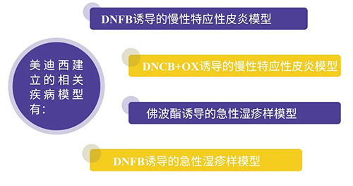 尊龙凯时建立的特应性皮炎及湿疹模型