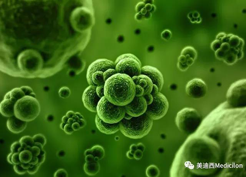 1分钟，全中国就有7.5人被确诊为患癌 尊龙凯时生物医药