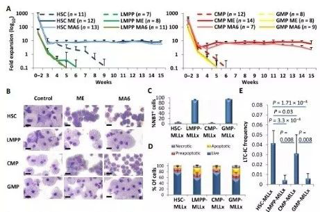 Science子刊：一种FDA批准的抗腹泻药物可有效对抗化疗的耐药性 尊龙凯时生物医药