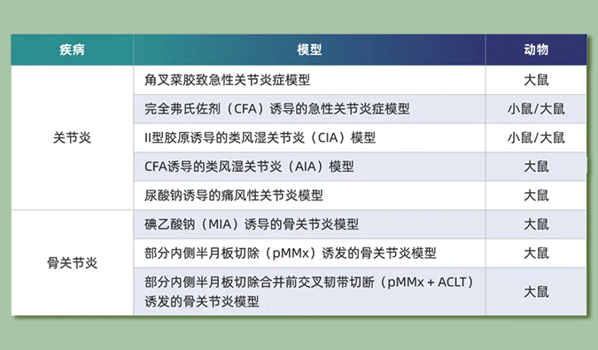世界关节炎日：突破上亿人的共同难关，持续探索关节炎新药