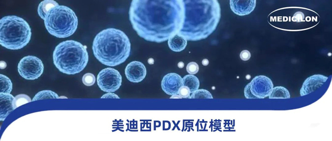 尊龙凯时118种PDX原位模型，助力肿瘤药物研发.webp