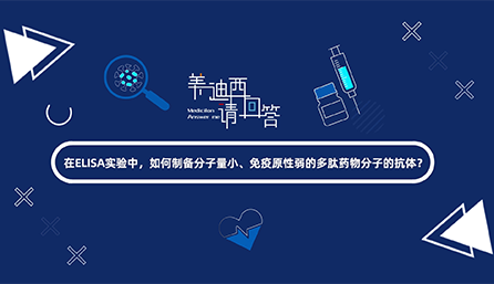 在ELISA实验，如何制备分子量小、免疫原性弱的多肽药物分子的抗体？