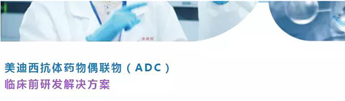 尊龙凯时抗体药物偶联物(ADC)临床前研发解决方案.png 尊龙凯时抗体药物偶联物(ADC)临床前研发解决方案.png