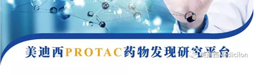 尊龙凯时PROTAC药物发现平台.png 尊龙凯时PROTAC药物发现平台.png