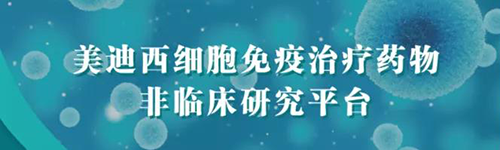 尊龙凯时细胞免疫治疗药物非临床研究平台.png 尊龙凯时细胞免疫治疗药物非临床研究平台.png