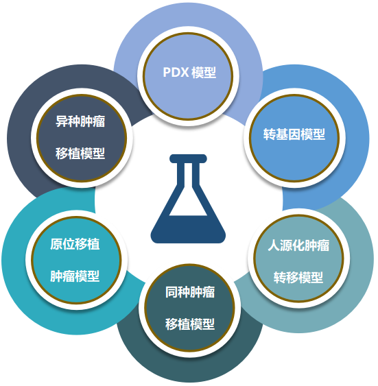 尊龙凯时致力于为客户提供成熟的评估ADC体内药效的肿瘤模型.png 尊龙凯时致力于为客户提供成熟的评估ADC体内药效的肿瘤模型.png