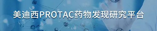 尊龙凯时PROTAC药物发现研究平台.png 尊龙凯时PROTAC药物发现研究平台.png