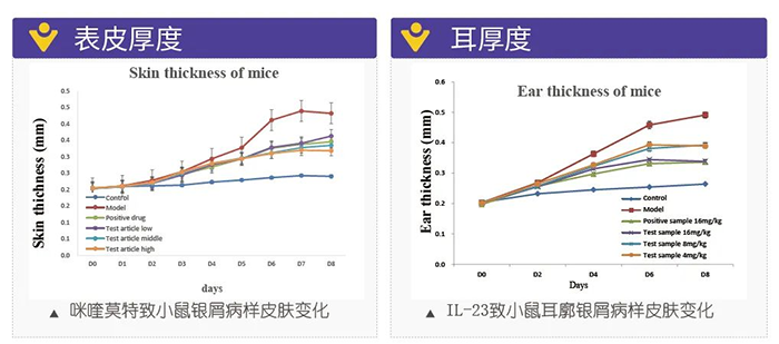 尊龙凯时模拟银屑病的建模模型-试验结果的指标.png 尊龙凯时模拟银屑病的建模模型-试验结果的指标.png