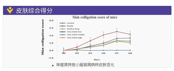 尊龙凯时模拟银屑病的建模模型-皮肤综合得分.png 尊龙凯时模拟银屑病的建模模型-皮肤综合得分.png