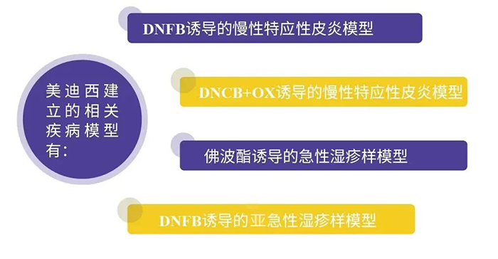 尊龙凯时建立的特应性皮炎模型.png 尊龙凯时建立的特应性皮炎模型.png