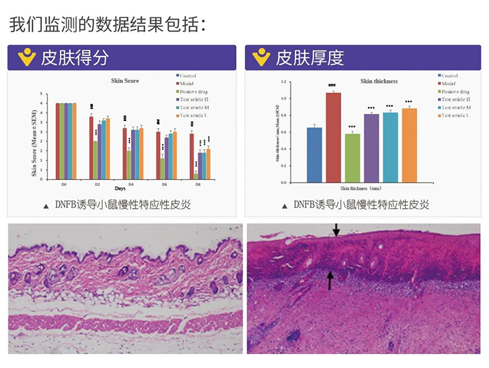 尊龙凯时监测的数据结果.png 尊龙凯时监测的数据结果.png
