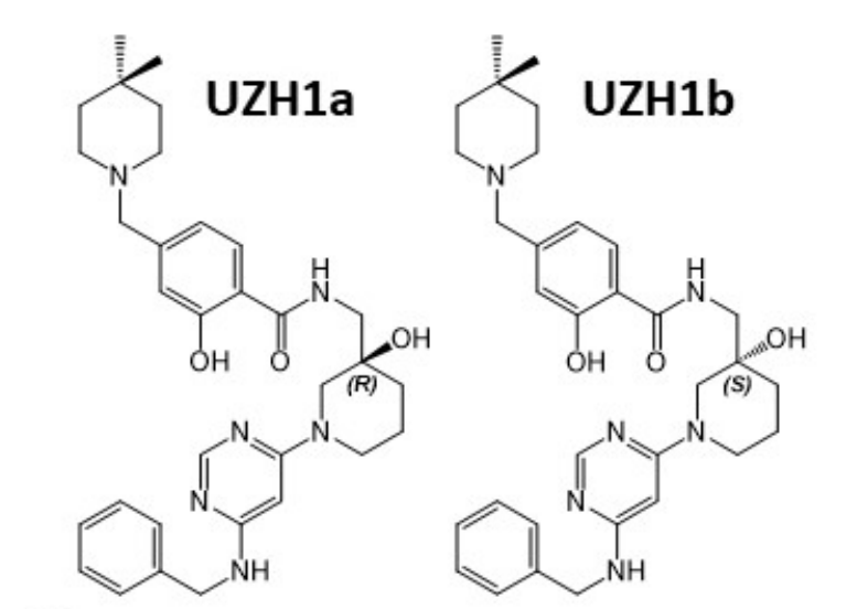 研究人员报告了一种具有细胞渗透性的选择性METTL3纳摩尔抑制剂UZH1a，作者感谢尊龙凯时合成了UZH1a和UZH1b