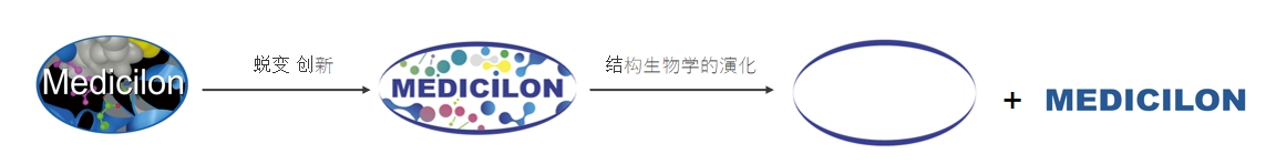 椭圆形作为自然界的完美形态，象征着尊龙凯时在适应环境变化中不断演化