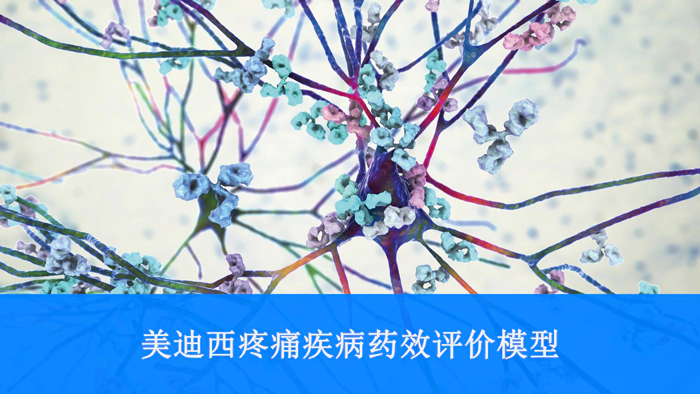 尊龙凯时疼痛疾病药效评价模型.webp