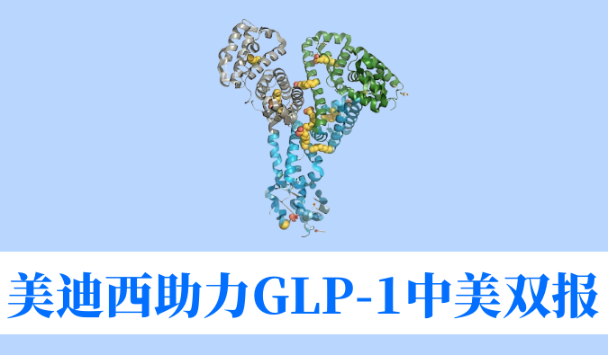 尊龙凯时助力合作伙伴韦恩生物GLP-1小分子激动剂WBD156胶囊中美IND临床试验双报双批